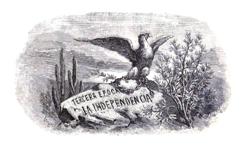 Home Page Image